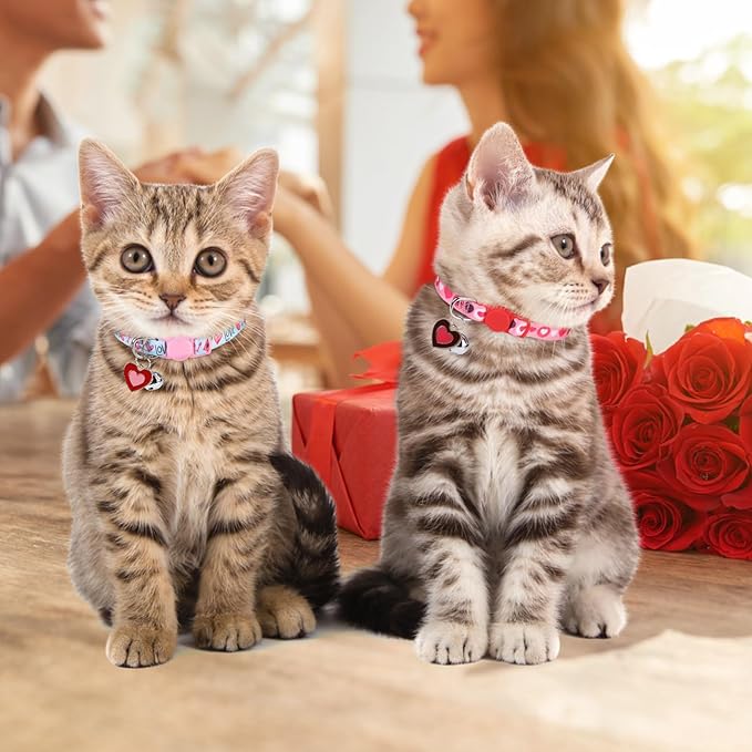 Breakaway Cat Collars for Girl Boy Cats, Fall Winter All Weather Cat Collar Personalized Pattern 2 Pack,Cute Classic Safety Buckles and Bells,Adjustable Printed Nylon Colorful Kitten Collar