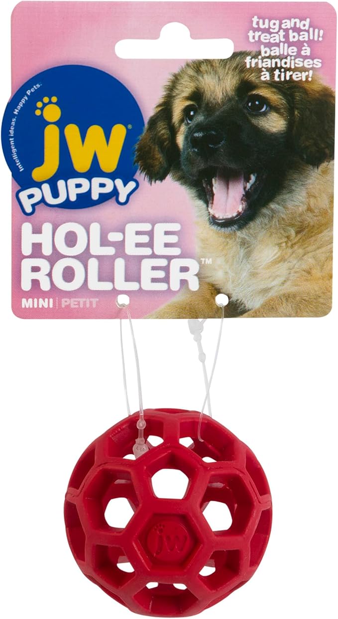 JW Hol-ee Roller Dog Fetch Treat Dispenser Puzzle Ball; Mini 1.75 Inch Diameter