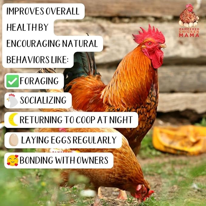 Kelp for Chickens & Duck Feed (5 Pound): Chicken Vitamins | Chicken Supplements | Vitamins for Chickens | Pampered Chicken Mama