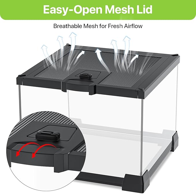 Mini Glass Terrarium Tank 8"x8"x6" with Top-Opening Mesh Lid, 360° Clear View, Ventilated Enclosure for Tarantulas, Jumping Spiders, Isopods, Froglets, & Small Reptiles