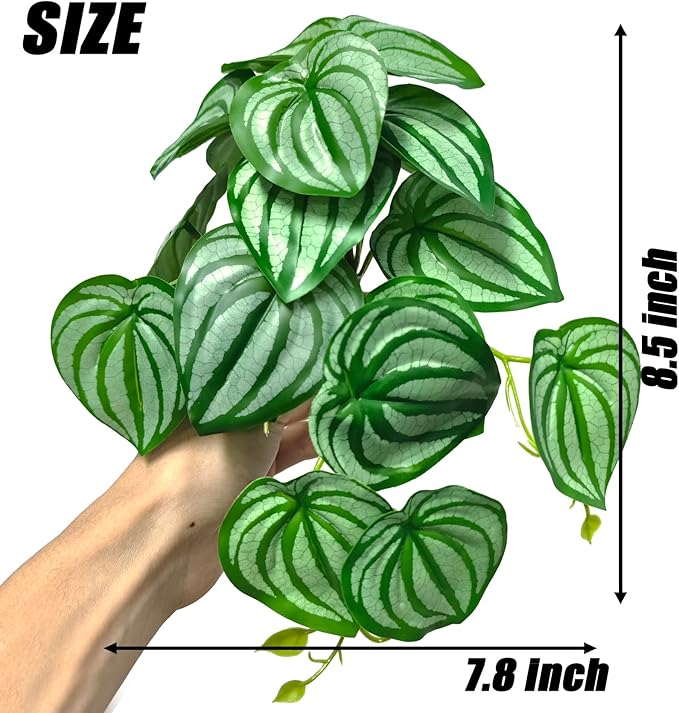 Woyrise Reptile Plants, Terrarium Hanging Plant Vines, Artificial Leaves with Suction Cup, Bearded Dragon Tank Accessories for Gecko Lizard Snake Frog Tortoise Decorations - Calathea Orbifolia
