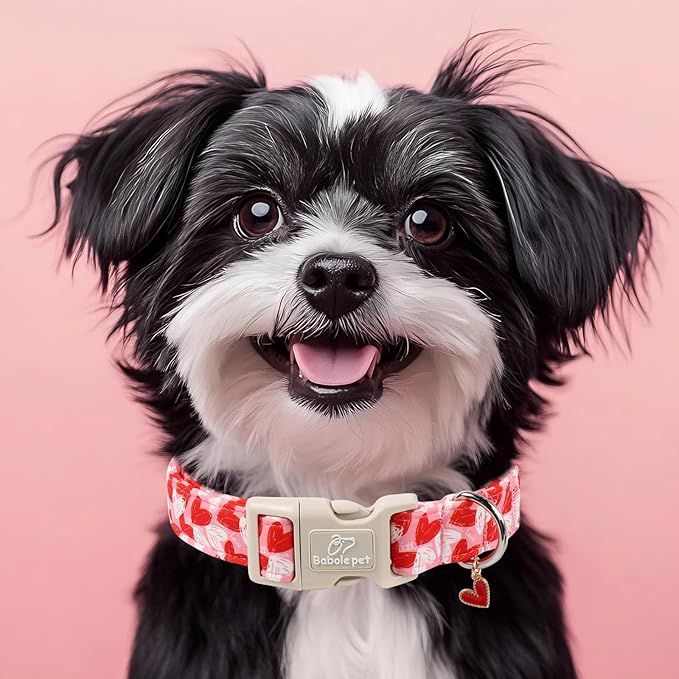 Valentines Dog Collar for Large Dogs - Cute Pink Girl Dog Collar, Doodle Heart Pattern, Adjustable Valentine Dog Collars with Red Heart Charm L