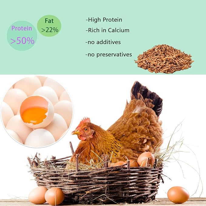Dried Mealworms 9LB-High Protein Chicken Feed,More Protein,No Additives,Premium Organic Non-GMO,Rich in Protein Meal Worms for Chickens,Wild Birds,Laying Hens,Turkeys-Nutrient-Rich Mealworms