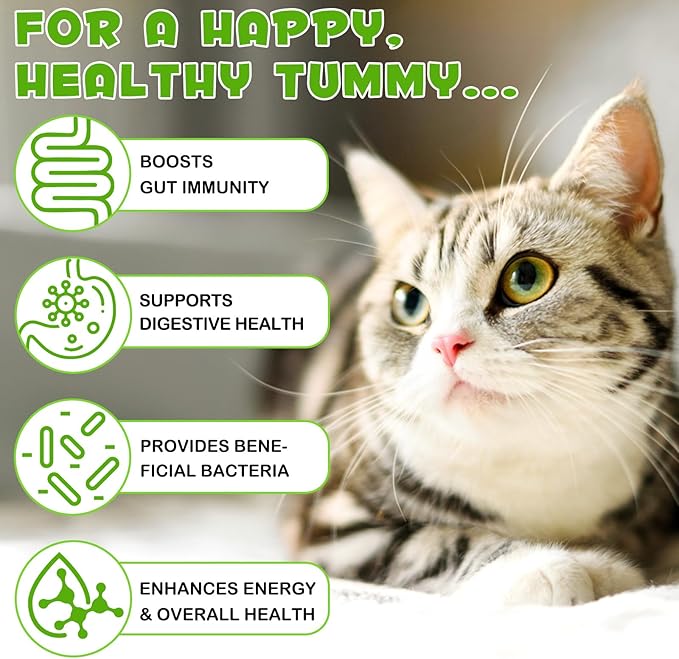 3-in-1 Probiotics for Cats with Digestive Enzymes & Prebiotics – Supports Gut Health, Immune System & Diarrhea Relief – 60ml for Cats of All Ages