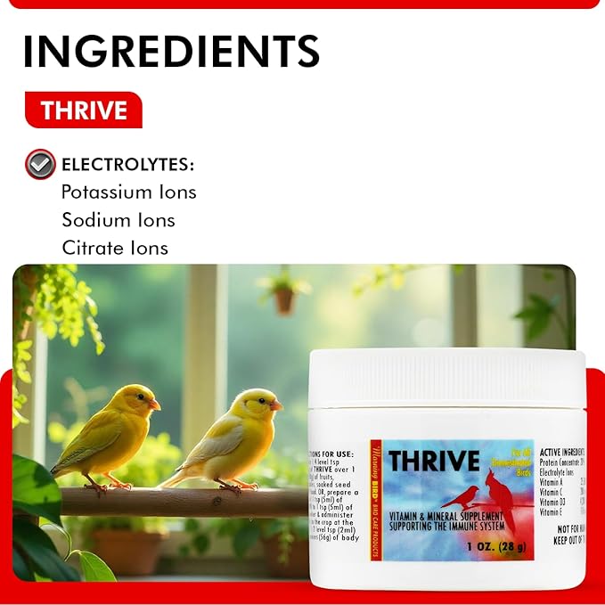 Morning Bird Thrive 1 Oz - Multi-Vitamin Bird Supplement Designed for Immune and Recovery Support - Formulated for Sick or Injured Birds - Protein Supplement and Energy Booster for All Adult Birds