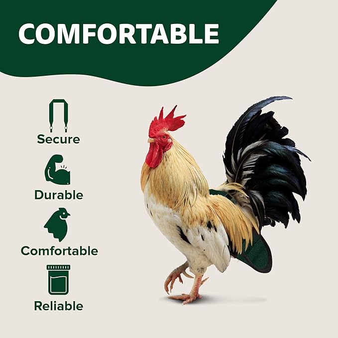 Hen Holster Wrap-Around Bird Diaper & Harness for Hens, Roosters, Ducks, Geese - with Removable Vinyl Liner, Adjustable Fit for Outdoor Adventures & Indoor Use - Easy to wear - XL, Green