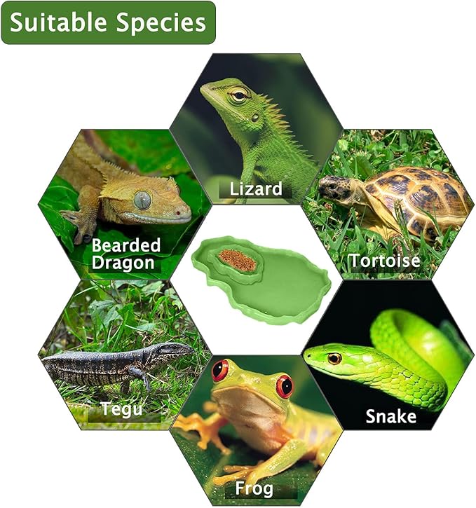 Tfwadmx Reptile Food and Water Bowl Set Luminous Bearded Dragon Dishes Tortoise Feeder Lizard Habitat Large and Small Amphibian Feeding Plates Terrarium DéCor for Turtle Gecko Snake Tegu Iguana 2 Pcs
