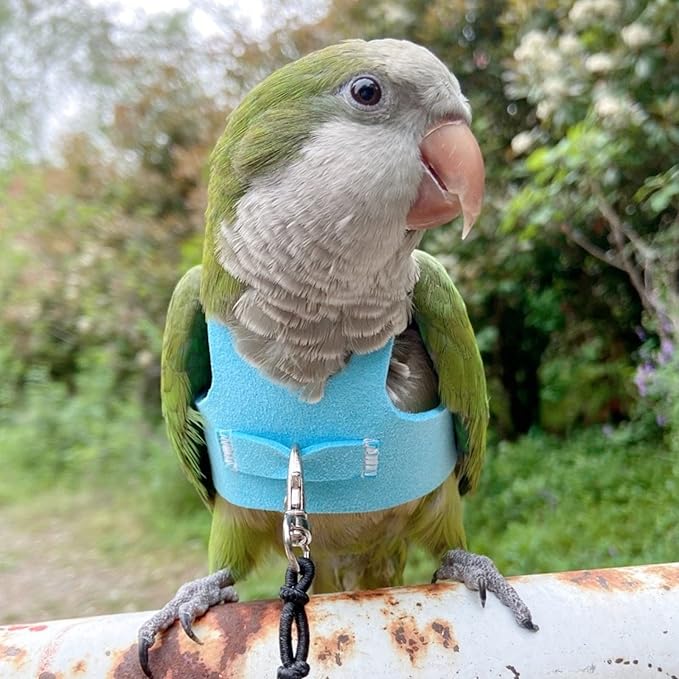 Bird Flight Harness Vest, Parrot Flight Suit with Leash for Parakeets Cockatiels Conures Budgies, Bird Flying Clothes with Rope and Handle for Outdoor Activities Training (L, Blue)