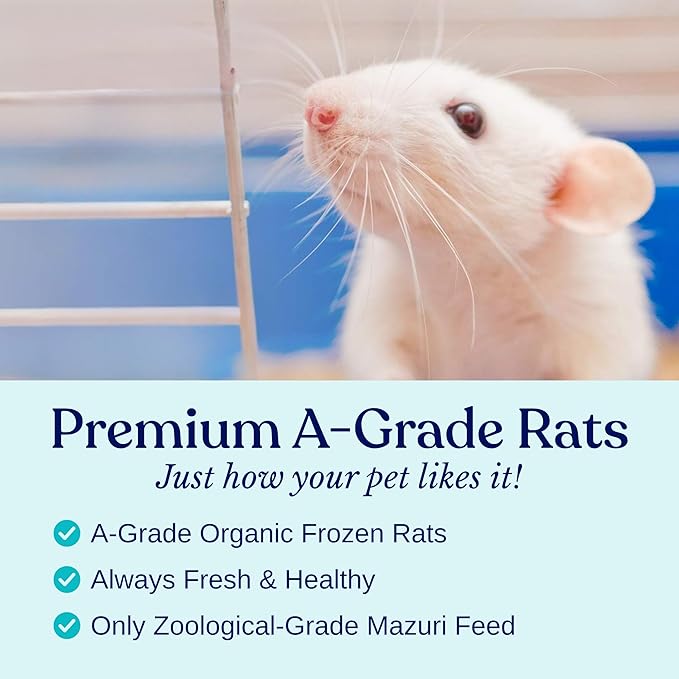 MiceDirect EST. 2003 200 Frozen Mice Pinkie Feeders Snake Food for Corn Ball Pythons Lizards (.5-1 in) (400 Grams Min)