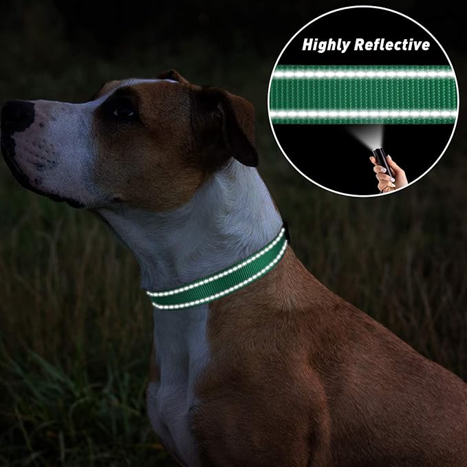 TagME Reflective Nylon Dog Collars, Adjustable Classic Pet Collar with Quick Release Buckle for Small Dogs, Turquoise, 5/8" Width