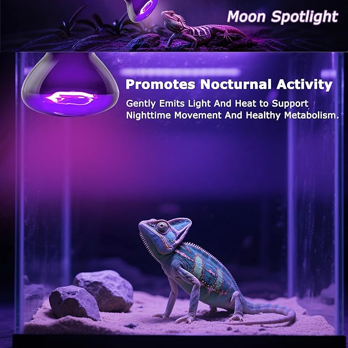 75W Reptile Night Light Bulb – 2.5" Compact Purple UVA Basking Lamp for Lizards, Chameleons, Snakes, Turtles, Amphibians, Bearded Dragons – Indoor Terrarium Heat & Night Lamp, 2-Pack