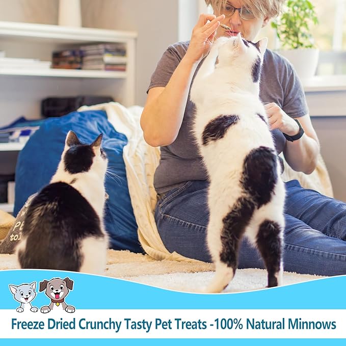 Minnows 4 oz Freeze Dried Minnows, 100% Natural Cat & Dog Treat