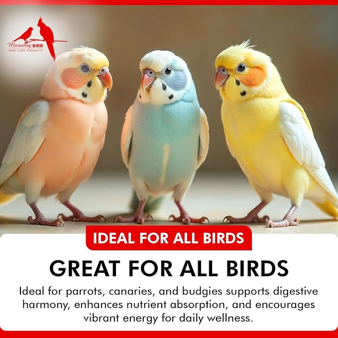 Morning Bird Probiotics for Birds 4.5 oz – Digestive Health Supplement Supporting Gut Balance, Nutrient Absorption & Immune Support – Easy Mix Powder Supplement for All Bird Species