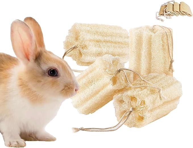 4PCS Rabbit Loofah Chew Toys, Organic Natural Loofah Toys Teeth Cleaning Bath Tools, Handmade Fiber-Rich Bunny Chew Toys for Guinea Pig, Hamster, Rat, Chinchillas