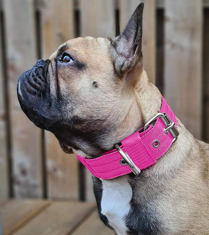 Heavy Duty Tactical Dog Collar - 1.5" Width Military Durable Thick Nylon with Adjustable Metal D Ring & Buckle Working Training K9 Collar for Medium Large Dogs (L(20"-23"), Hot Pink)