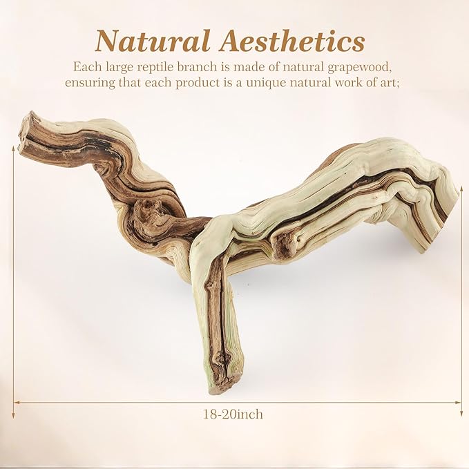 Janinka 18-20" Length Large Wood Reptile Branch for Bearded Dragon Driftwood Reptile Climbing Habitat Decoration for Terrarium Tree Trunk Ornament Gecko Frog Chameleon Spider