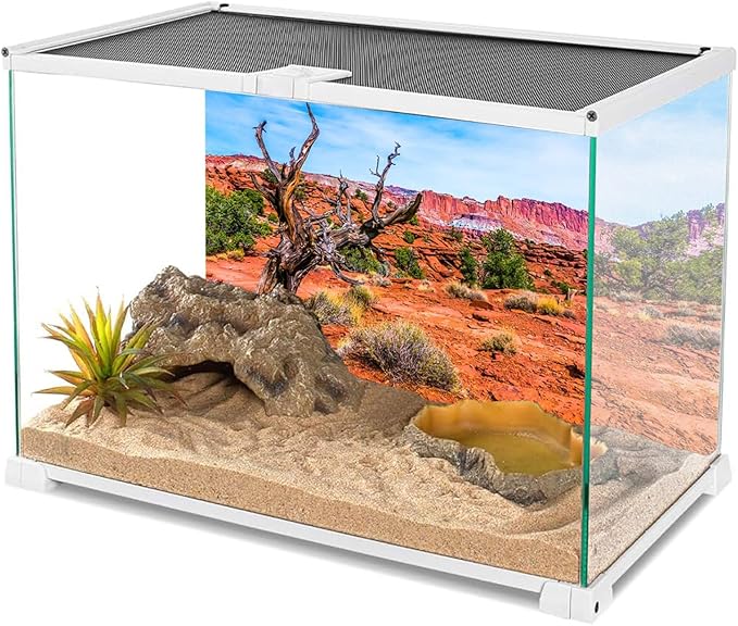AWERT 24x12 inches Reptile Habitat Background Blue Sky Oasis Orange Desert Terrarium Background