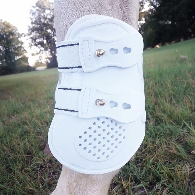 Jeffers Equine English Ankle Boots Medium – Premium Horse Leg Protection, Ventilated Neoprene, Adjustable & Comfortable Support, Lightweight & Durable for Training, Jumping & Riding – Brown (Pair)