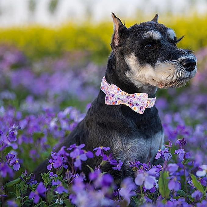 Elegant little tail Dog Collar, Rose Print Pet Collar Summer Dog Collar Durable Metal Buckle Dog Collars Cotton Pet Adjustable Dog Collars for X-Small Dogs