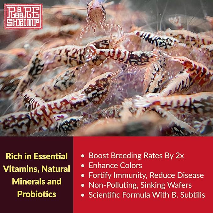 Professional Shrimp Food, Natural Premium Ingredients, High Protein, Rich in Vitamins for Crystal Shrimp, Caridina, Neocaridina, Ornamental, Taiwan Breeder Foods Formula (200g)