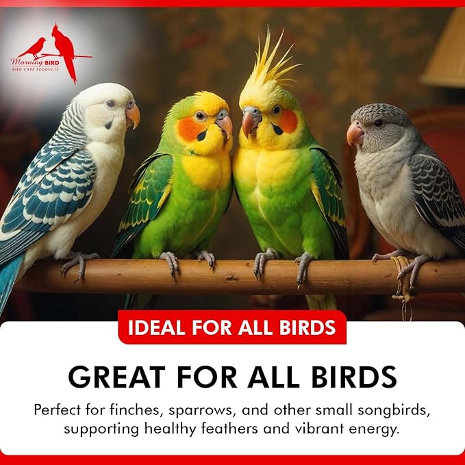 Morning Bird Calcium Plus Powder for Birds 2 oz – Calcium Supplement with Vitamin & Protein Powder – Supports Bone Health, Muscle Function & Digestive Balance – Easy-to-Mix Calcium Formula