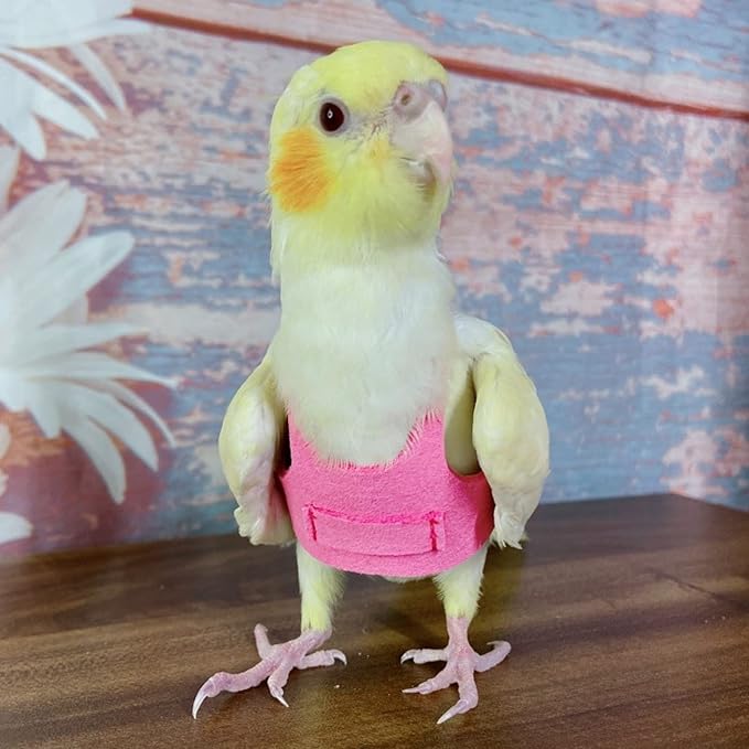 Bird Flight Harness Vest, Parrot Flight Suit with Leash for Parakeets Cockatiels Conures Budgies, Bird Flying Clothes with Rope and Handle for Outdoor Activities Training (L, Pink)