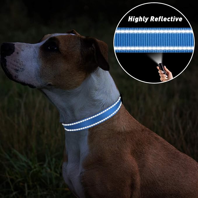 TagME Reflective Nylon Dog Collars, Adjustable Classic Pet Collar with Quick Release Buckle for Extra Large Dogs, Sky Blue, 1¼" Width
