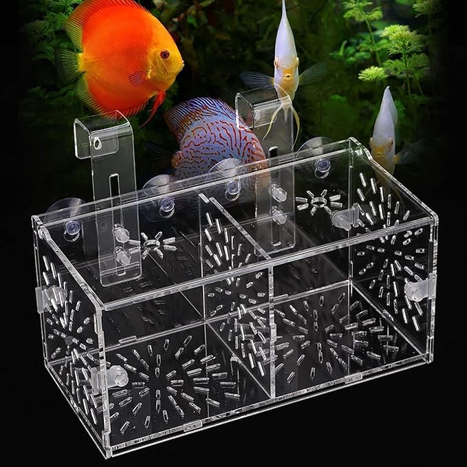 Fish Breeding Box, Acrylic Fish Isolation Box Transparent Aquarium Acclimation Hatchery Incubator with Suction Cups Aquarium Breeder Box for Newborn Fry Shrimp