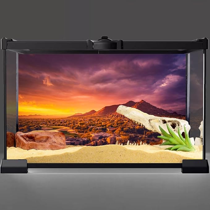 AWERT 48x18 inches Sun and Desert Terrarium Background Mountain Oasis Gobi Reptile Habitat Background Vinyl