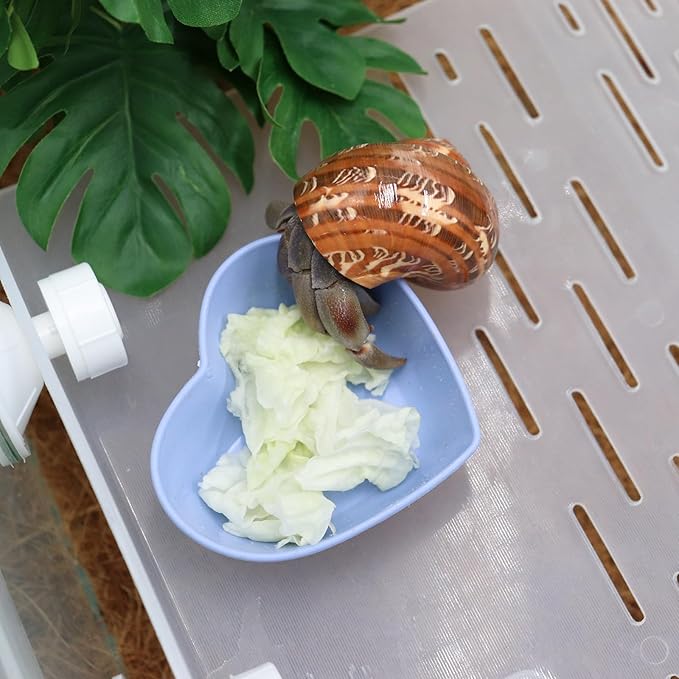 4 Pack Hermit Crab Plastic Food Dish, Hermit Crab Food & Water Bowl, Mini Food Dish Kit, Suitable for Hermit Crab Tarantula Snail
