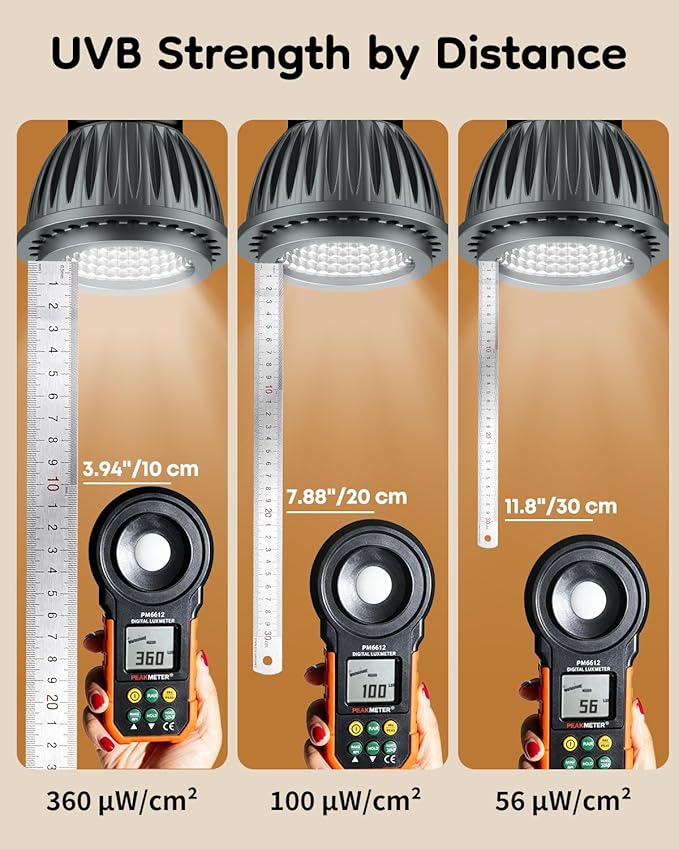 Pawfly UVB Light for Reptiles, 3 W 10.0 UVB Bulb, Desert Reptile UVA UVB Lamp for Calcium & Vitamin D3 Synthesis, High Intensity LED Lamp for Bearded Dragon, Tortoise & Lizard