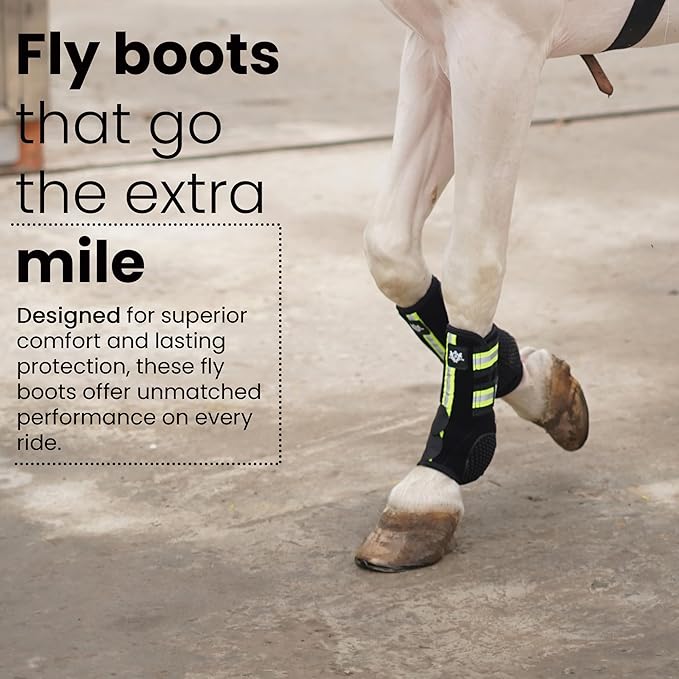 RS Premium Design Gold Line Horse Boots | Comfortable, Protective & Shock Absorber | Sport Boots for Horses Best for Jump Training | Ok Fabric 1682D Provides Ultimate Flexibility