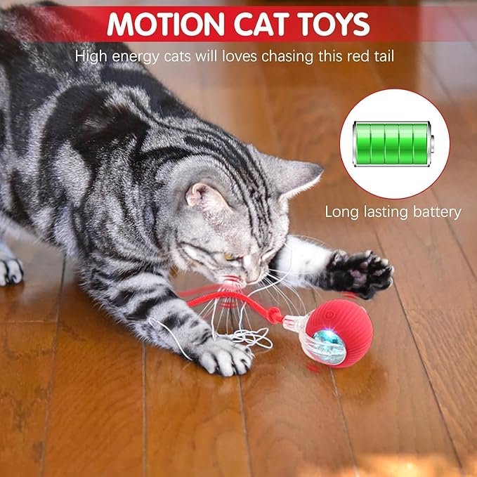 Automatic Interactive Rolling Cats Dog Toys Ball for Indoor- Rechargeable Activate Cat Dog Pet Toy for Indoor, Self-Playing Automatic Moving Kitten Toys for Cats, Durable and Safe Material (Red)