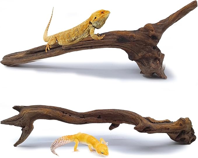 BNOSDM 2PCS Snake Climbing Branches,Reptile Natural Coral Driftwood Branches Decor,Lizard Habitat Decoration Accessories, Terrarium Tree Trunk Ornament for Bearded Dragon Gecko Frog Chameleon Spider
