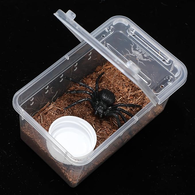 Irenare 8 Pcs Reptile Breeding Box Plastic Spider Terrarium Tarantula Feeding Box for Bearded Dragon Lizard Spider Gecko Scorpion(Vent Holes,Clear,4.33 x 2.76 x 2.95 Inch)