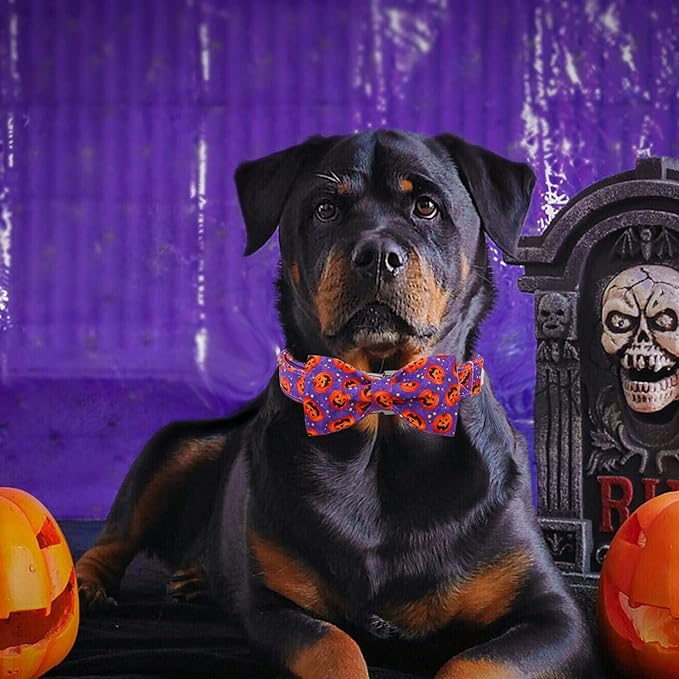 Dog Collar - Halloween Pumpkin Bowtie Pet Collar Gift Soft Bow Collar Pet Adjustable Metal Buckle Puppy Collars for Small Dogs