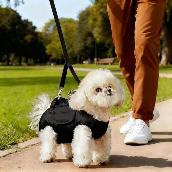 Portable Small Dog & Cat Pet Carrier Sling & Backpack for Small Dogs & Cats & Puppy, Dog & Pet Purse Bag Carrier Sling for Small Dogs with Dog Traction Leash, Crossbody Sling Carriers (Orange M)