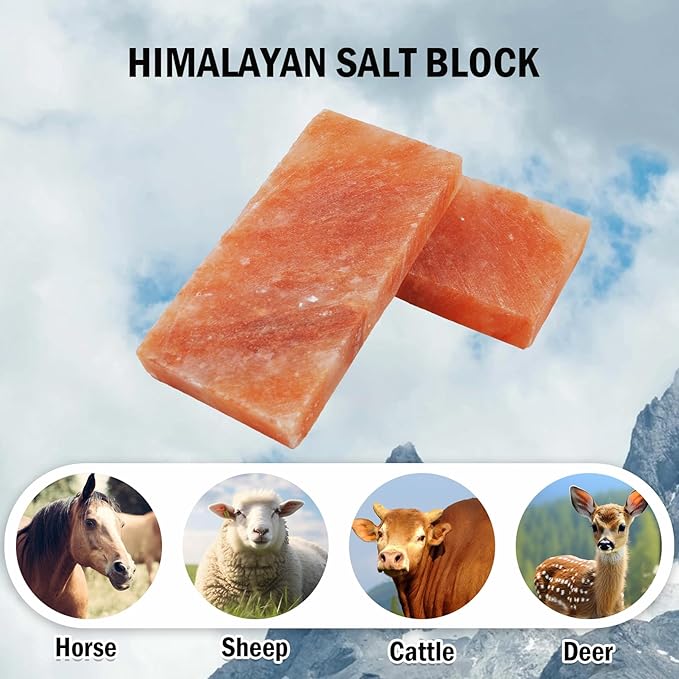 kathson Himalayan Salt Block for Horses,Pack of 2 (8 x 4 x1 Inche) Natural Mineral Salt Block with Vital Minerals Animal Licking Salt Brick for Deer Cattle Sheep and Other Livestock