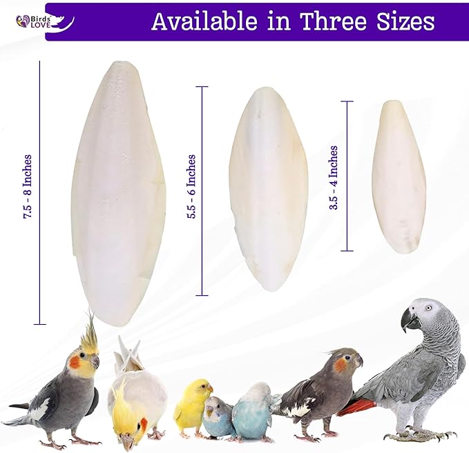 Birds LOVE Natural Cuttlebone for Birds & Reptiles – 100% Pure Sun-Dried Calcium Supplement – Supports Beak, Bone & Shell Strength – Safe Daily Use - 2 Pack with Holder, 7.5 to 8"