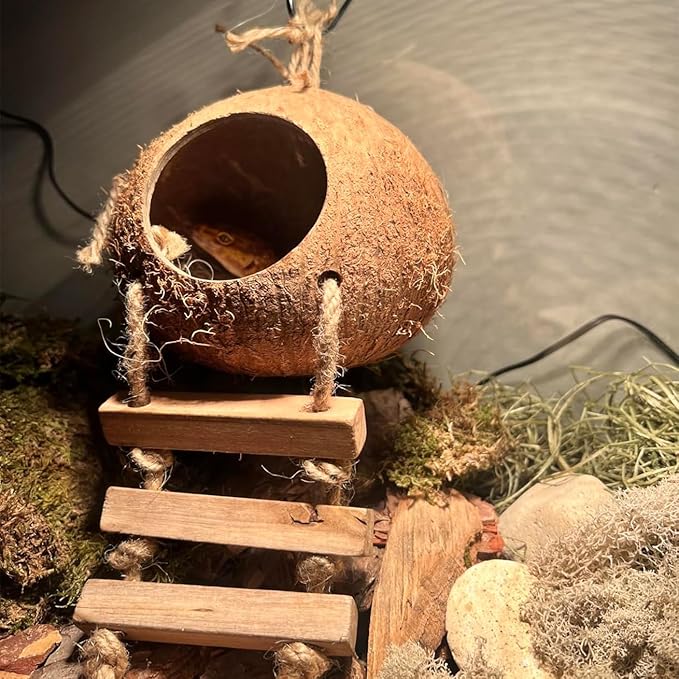 Crested Gecko Coconut Hide with Ladder,Reptile Natural Coco Shell Ladders Geckos Hideout Hut Lizards Hermit Habitat Leopard Gecko Terrarium Plant Accessories for Chameleon Snakes