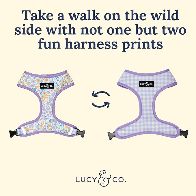 Lucy & Co. Cute Reversible Dog Harness Walking Halter - Best Designer Pet Harnesses for XS - XL Dogs - Padded Adjustable Vest for Easy Walking (X-Small, Among The Wildflowers - Purple Floral)