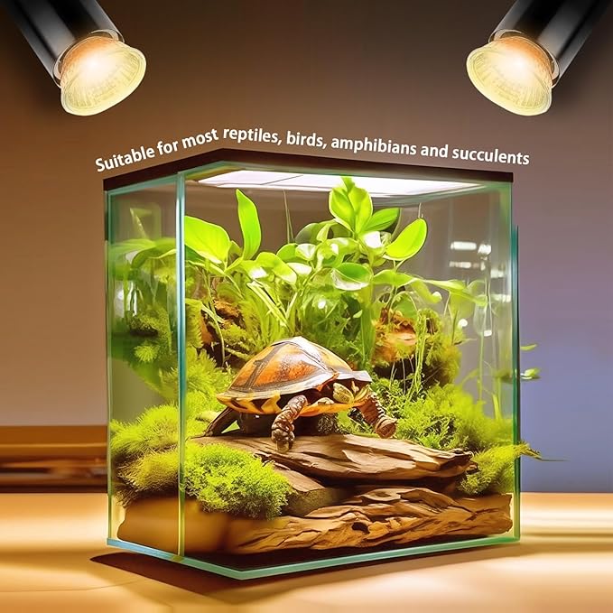 6-Pack 25W UVA UVB Bulbs, Light Turtle Heat Lamp for Reptiles and Amphibian Tanks, Terrariums and Cages, Fit E26 Heat Reptile Lamp,Works with Various Lamp Fixtures
