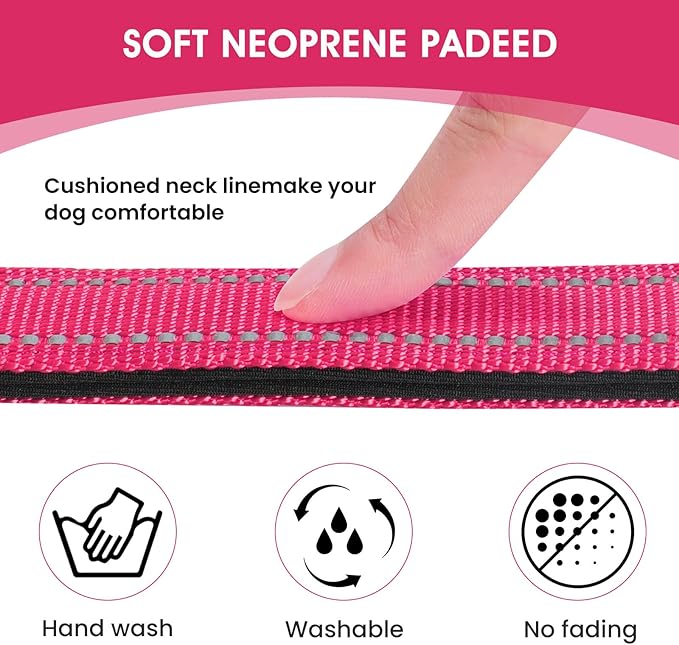 Reflective Dog Collar Padded with Soft Neoprene Breathable Quick Release Basic Dog Collars for Medium Dogs Hot Pink Girl