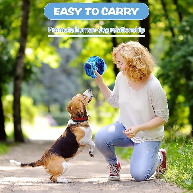 Droutti 3 Pcs Snuffle Ball for Dogs Stress Relief Interactive Dog Snuffle Ball Toys Dog Foraging Mat Pet Snuffles Balls Toy Dogs Treat Ball Pad Pet Puzzle Toys for Anxiety Relief Enhance Sniffing