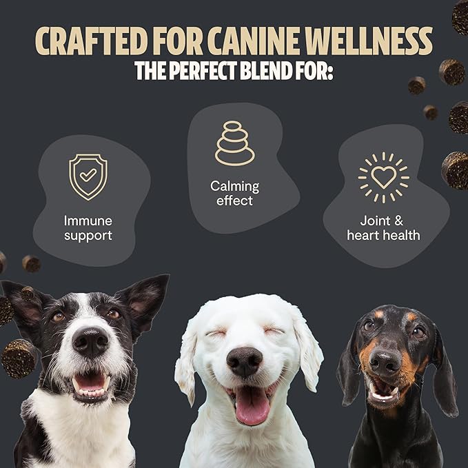FreshCap Mushrooms Shroomies - 13 in 1 Turkey Tail Mushroom for Dogs, Super Blend Mushroom Supplement for Dogs, Dog Immune Support, Calming Treats (180 Soft Chews)