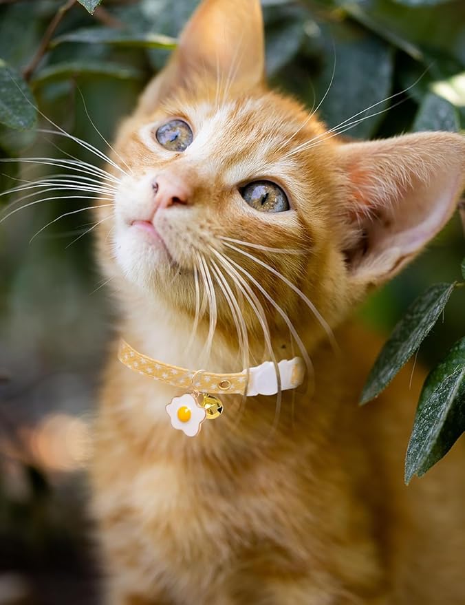 Cat Collar Breakaway with Bells,3 Pack Safety Adjustable Pet Collars,Ideal for Girl Boy Kittens. (Pink Green Yellow Star)