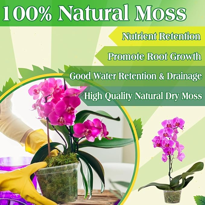Halatool 2.2LBS Forest Green Moss for Indoor Potted Plants, Orchid Potting Mix, Indoor Potting Plant Moss for Repotting Terrariums Garden Reptiles