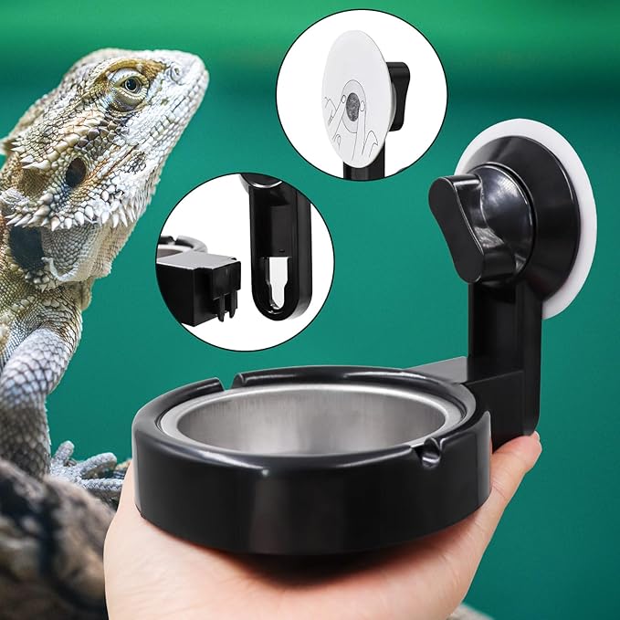 Small Animals Feeding Tray with Sucker, Reptile Feeding Cup, Reptile Food and Water Bowl, Single Bowl Reptile Food Dish with Powerful Suction Cup