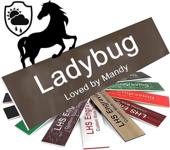 Personalized Horse Stall Name Plates, 2x8 Horse Stall Signs with Adhesive, All Weather UV Protected, Brown Plastic White Letters - Made in USA - B25