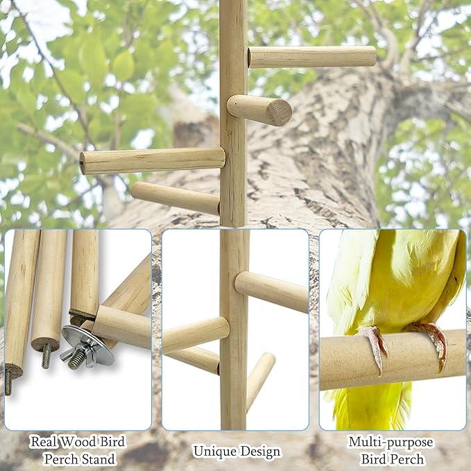 Hamiledyi Bird Perch Stand Toy Natural Wood Perch Stand Birds Toys Parakeet Toy with Rotating Balls Spinning for Parakeets Cockatiels Conures Budgies Finches Love Birds
